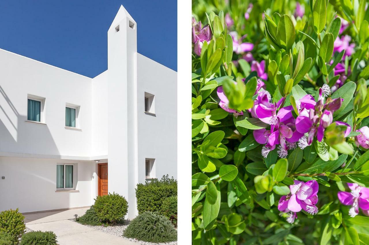 Seaview Selvi Village Apt Vasilia Ngoại thất bức ảnh